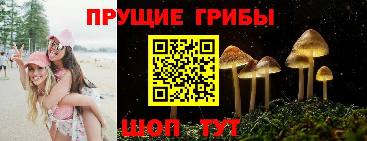 Каменск-Уральский  купить  сайты  Вход с VPN  Псилоцибиновые грибы мухоморы 
